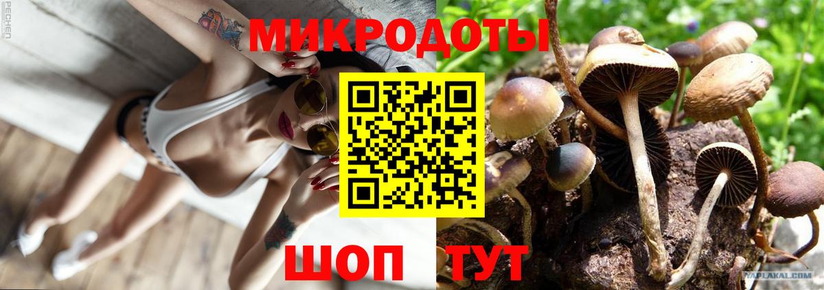 Галлюциногенные грибы GOLDEN TEACHER Прокопьевск